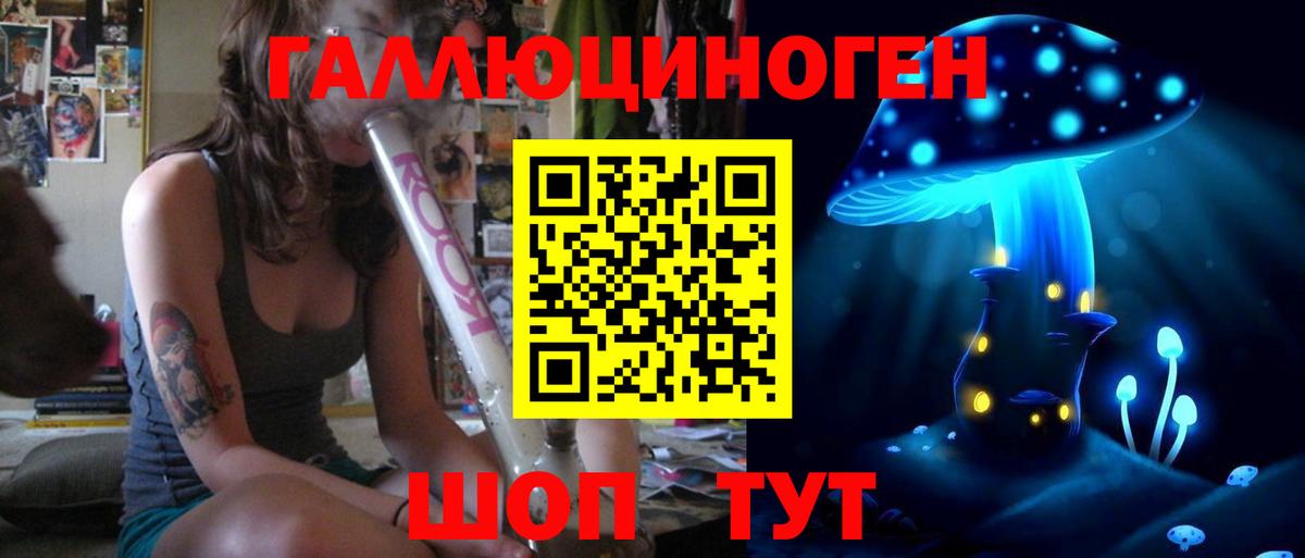 Псилоцибиновые грибы Psilocybe Ефремов