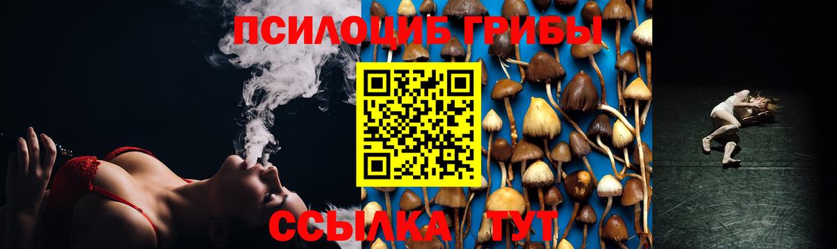 Ефремов  Псилоцибиновые грибы MAGIC MUSHROOMS  Вход с VPN 